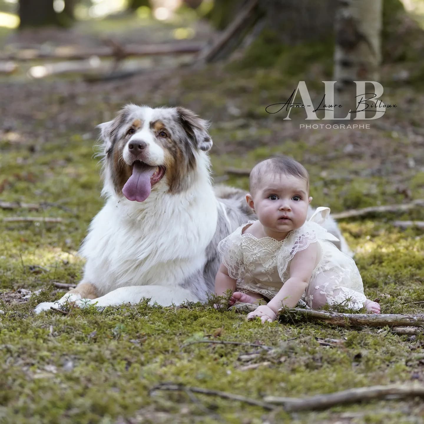 alb photographe naissance-1