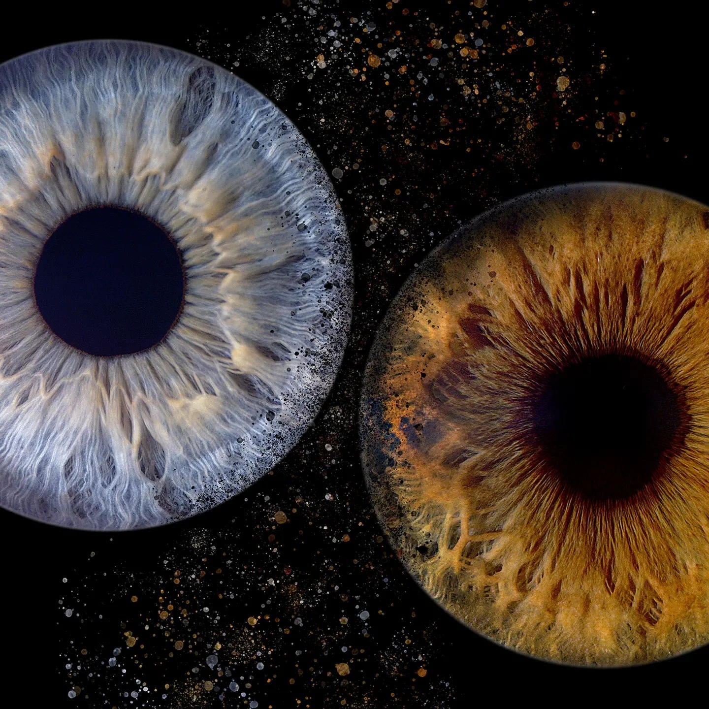 iris alb photographe