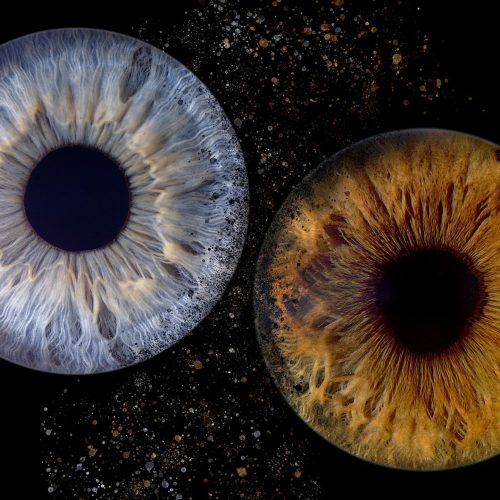 iris alb photographe